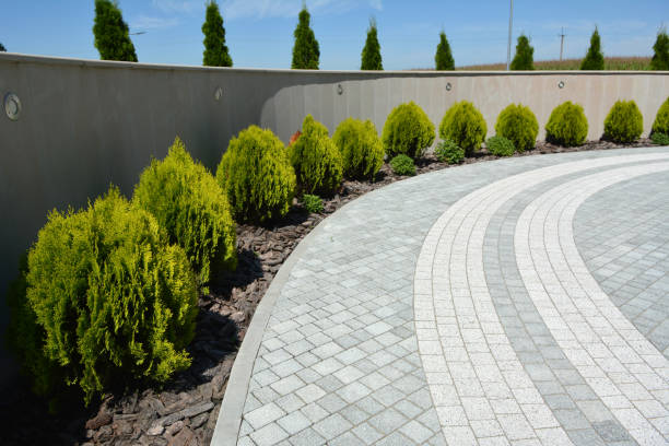 Best Driveway Repair Near Me  in Fordyce, AR
